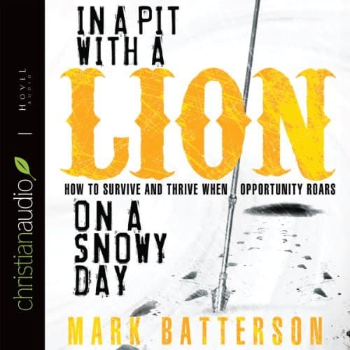 In a Pit with a Lion on a Snowy Day