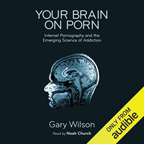 Your Brain on Porn